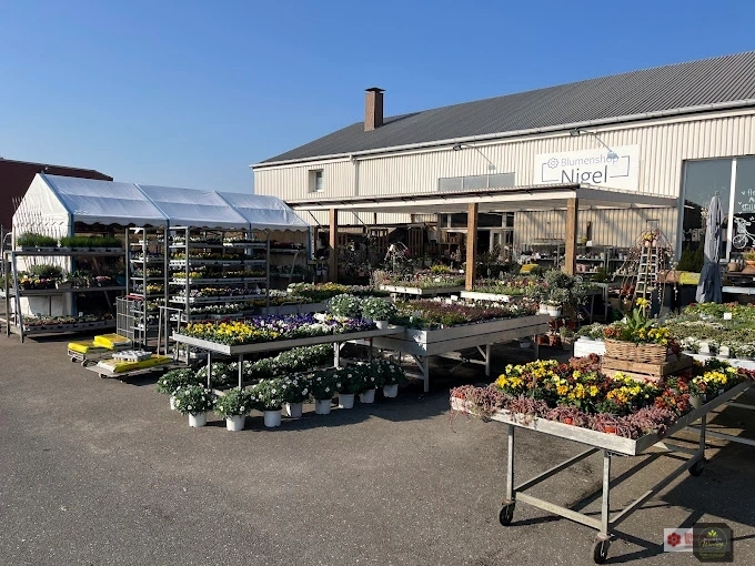 Gartencenter Blumen Wensing in Borken mit Pflanzenverkauf im Außenbereich